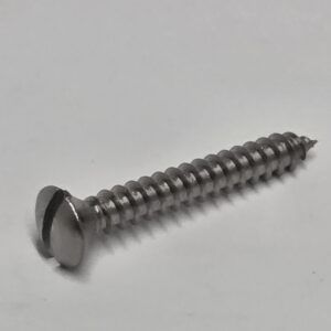 6 x 1 CSK-R Screw S/S (LocM65)