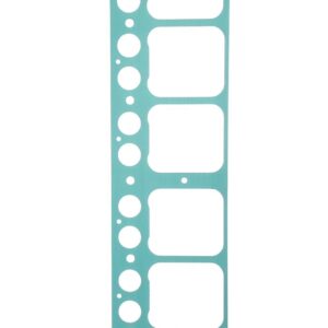 Gasket, block to crankcase, Wraith (LocG21)